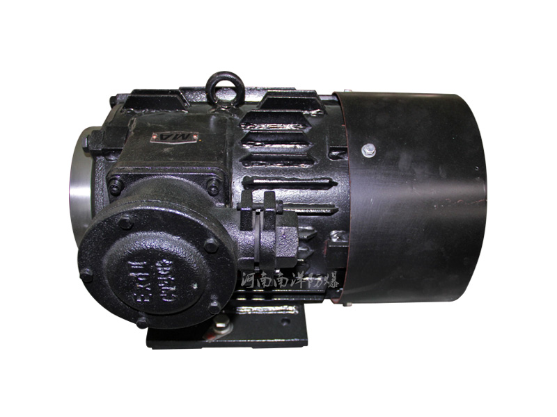 防爆新能源汽車電機(jī)