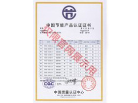 南洋防爆電機(jī)節(jié)能證書(shū)