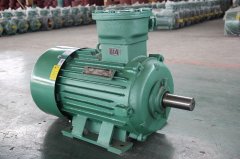 粉塵環(huán)境應(yīng)該如何選擇粉塵防爆電機型號？