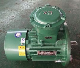 粉塵防爆電機(jī)